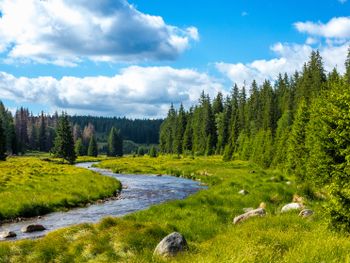 Kleine Auszeit im schönsten Tal Tirols - 5 Nächte