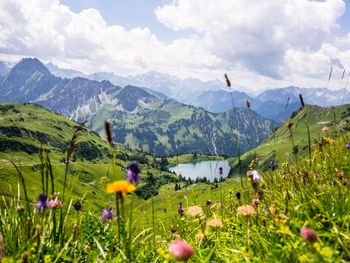 Sommerspaß in Tirol - 4 Nächte