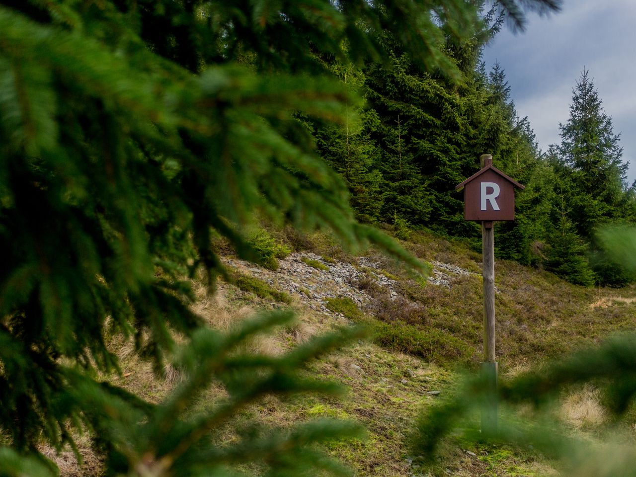 Erlebnisse im Thüringer Wald - 3 Tage in Suhl