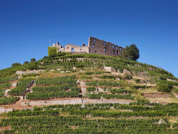 8 Tage Wein & Wandern in Staufen, Baden-Württemberg inkl. Halbpension