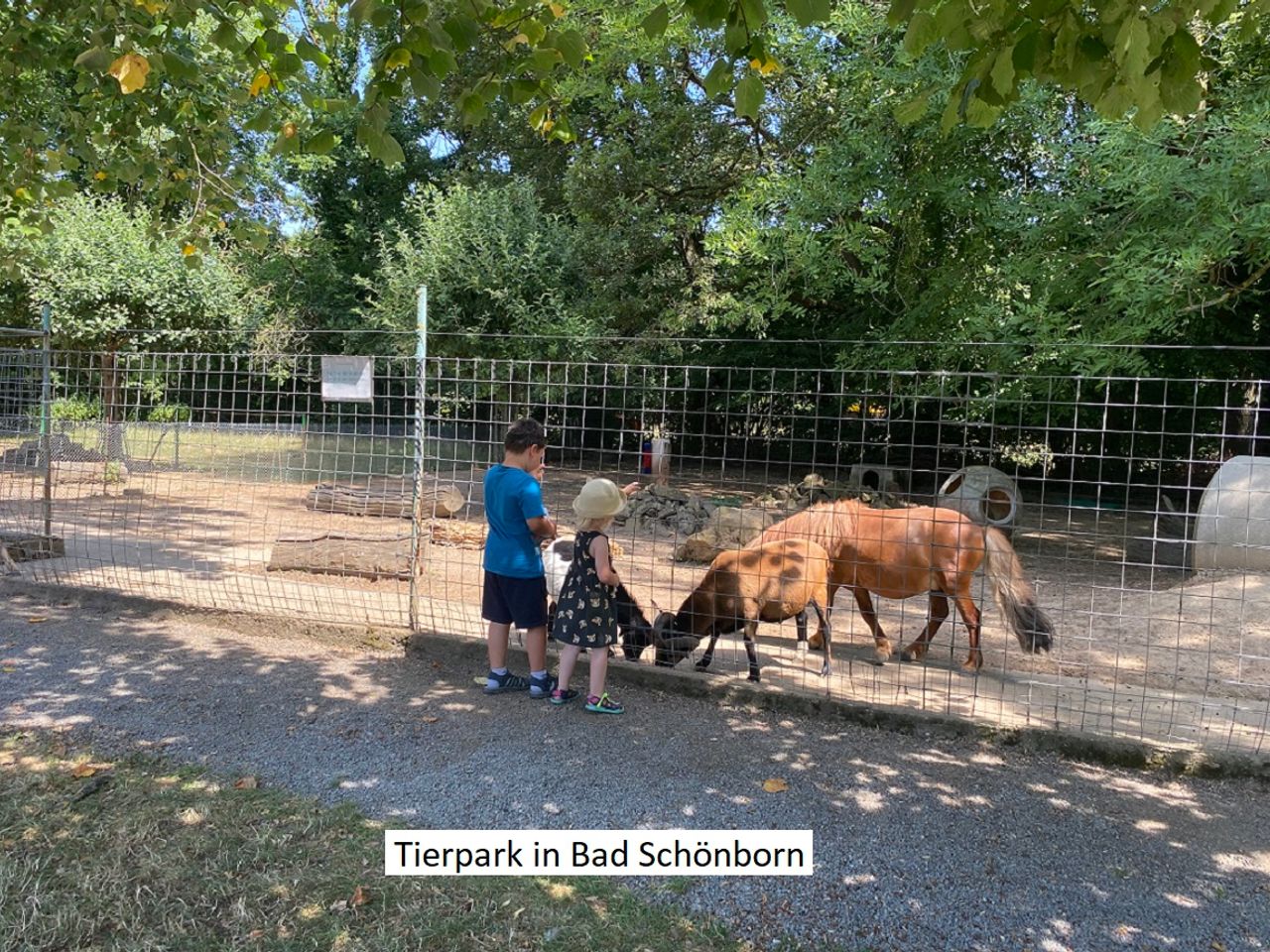 3 Tage für Technikfans mit Technik Museum Speyer