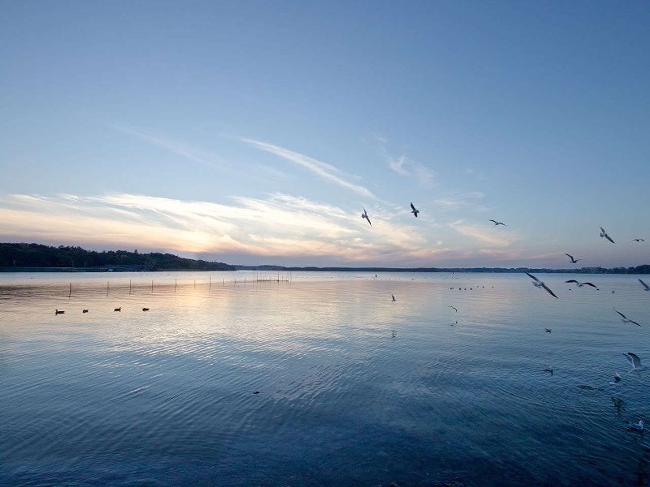 Romantische Verwöhnzeit an der Müritz - 8 Tage