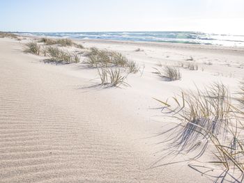 Ostsee-Woche in Swinemünde