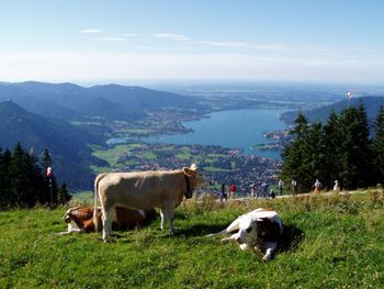 3 Tage Relaxen im Bayerischen Oberland - RelaxZeit