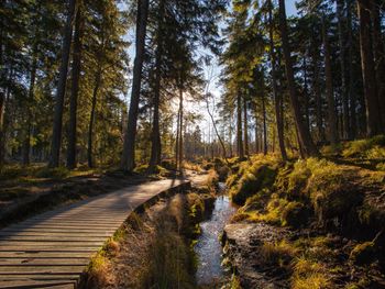 Kleine Auszeit im Harz