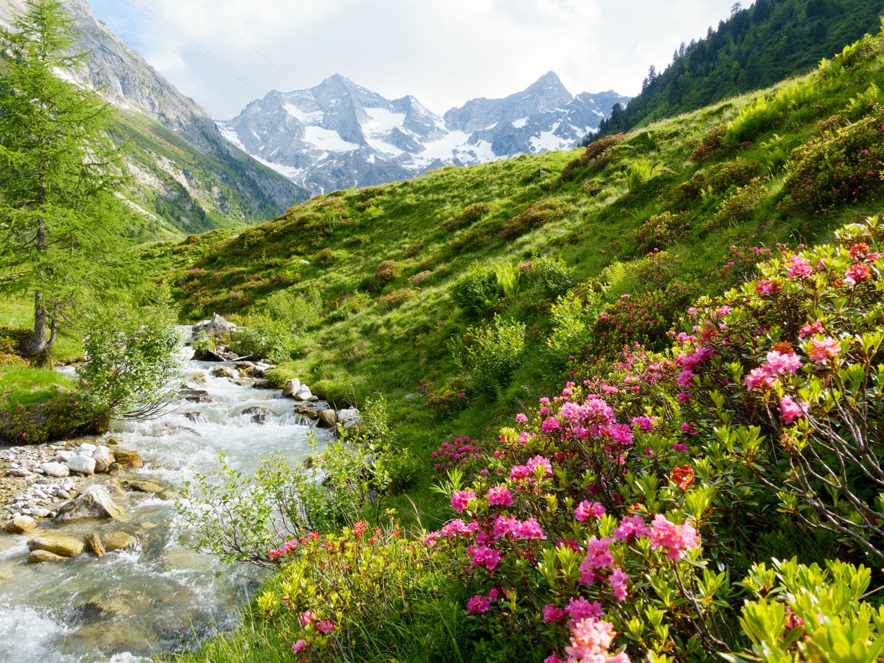 Steiermark-Wellness mit Frühstück - 7 Tage