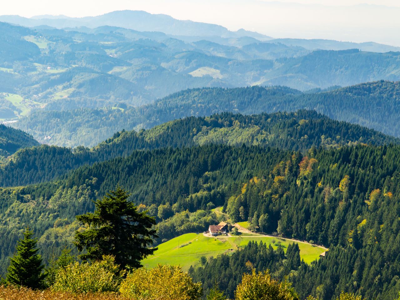 3 Tage Wellnessurlaub im Schwarzwald mit Halbpension