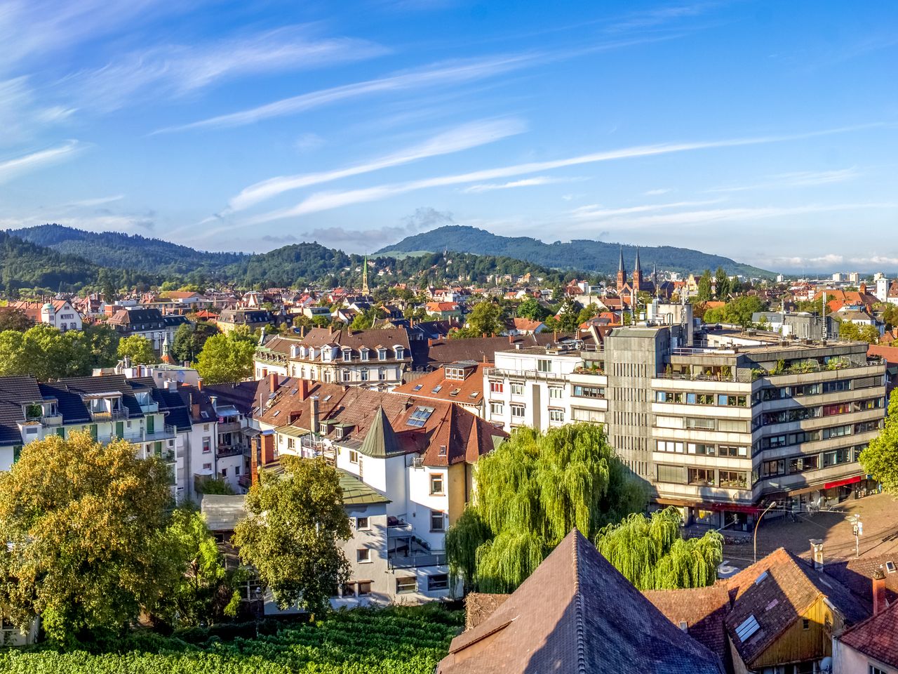 Münster und Schwarzwald - 2 Tage Freiburg im Breisgau