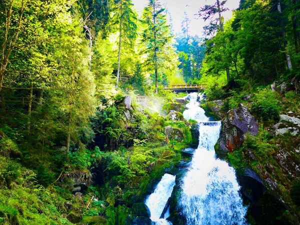 Schnuppertage im Naturpark Schwarzwald Mitte - 3 Tage in Lauterbach (Schwarzwald), Baden-Württemberg inkl. Halbpension