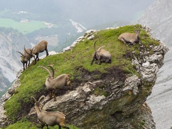 Bring deine Ski auf Touren!