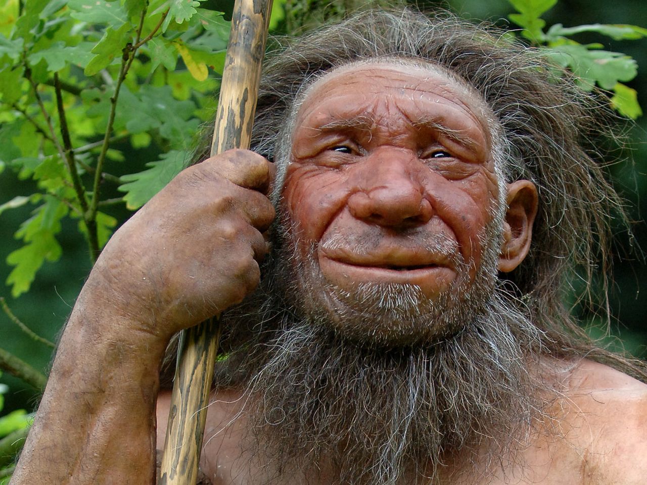 Auf den Spuren des Neandertaler
