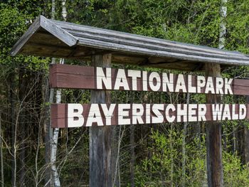 4 Tage Kurzurlaub im Bayerischen Wald