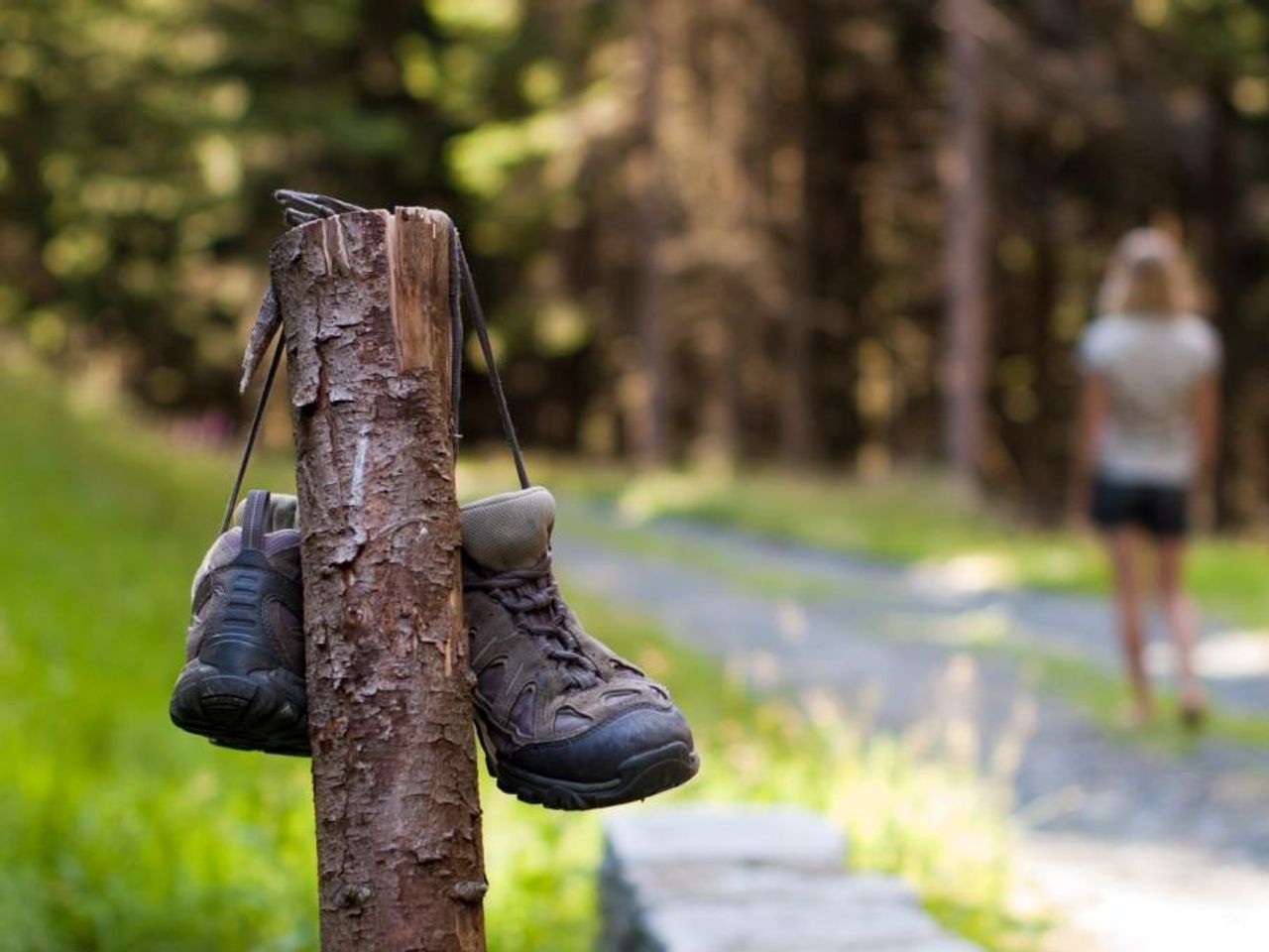 Sommerurlaub in der schönen Salzburger Bergwelt