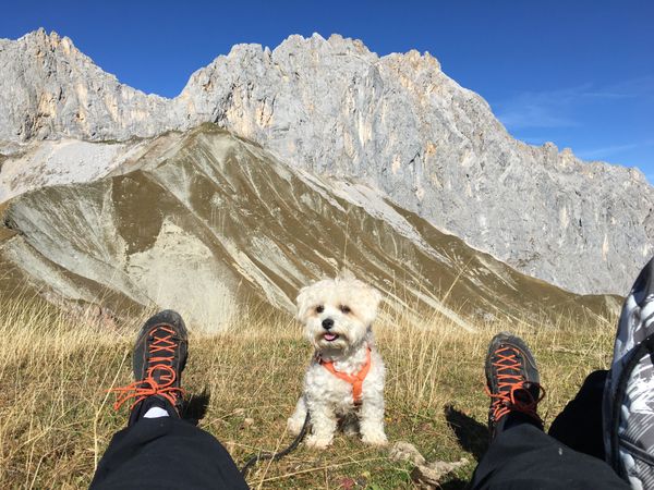 3 Tage Beste Zeit mit bestem Freund: nur Sie und Ihr Hund in Jerzens, Tirol inkl. Halbpension