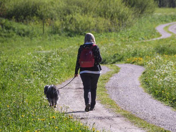 5 Tage Tierisch Taunusstein – Urlaub mit dem Hund & HP |6 Tg, Hessen inkl. Halbpension