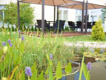 Freizeitparkspaß im AbenteuerReich BELANTIS