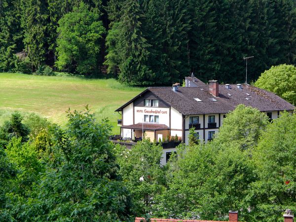 4 Tage Wanderspaß in der Region Odenwald/Bergstraße in Grasellenbach, Hessen inkl. Frühstück