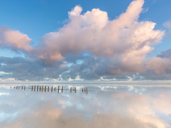 Inselspaß auf Texel – 7 Tage Nordsee mit HP in De Koog, Nordholland (Noord-Holland) inkl. Halbpension