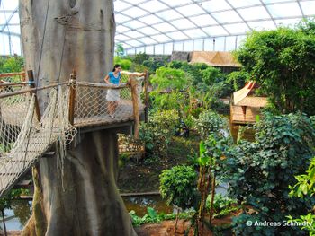 Tierisches Vergnügen: Zoo mit Gondwanaland - 3 Tage