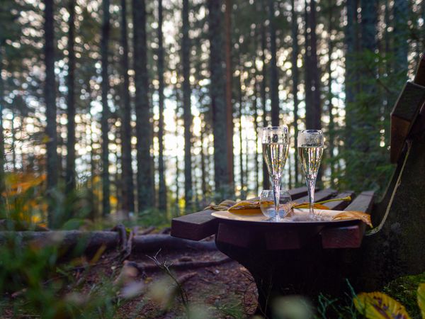 2 Tage Kurze Auszeit im Schwarzwald in Hornberg, Baden-Württemberg inkl. Halbpension inkl. Halbpension