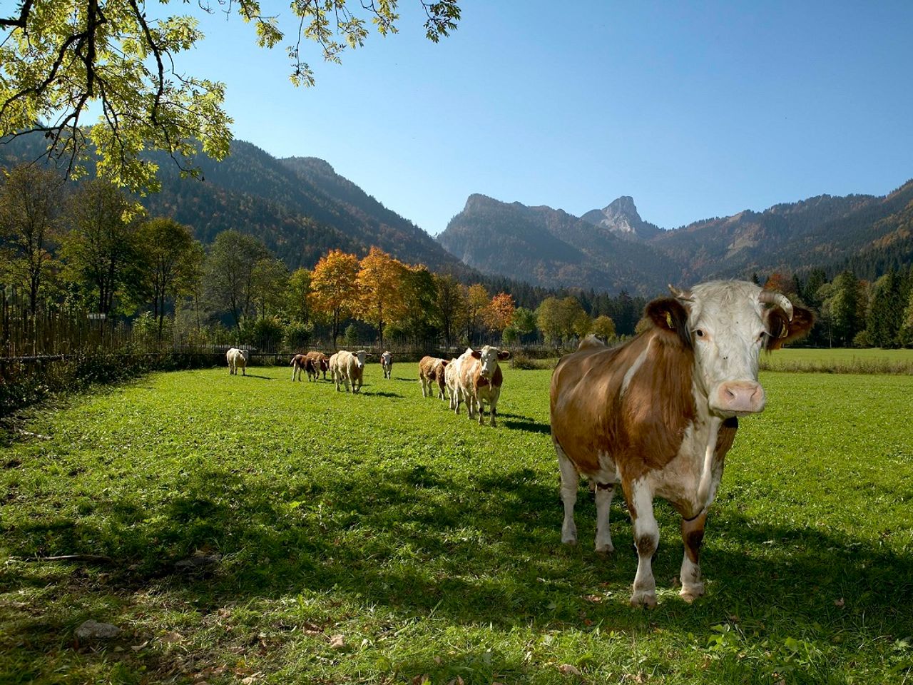 Genießerurlaub im Chiemgau / 5 Tage