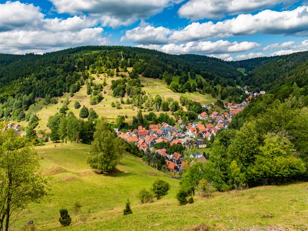 Naturparadies Thüringer Wald – 5 Tage mit Halbpension in Georgenthal, Thüringen inkl. Halbpension