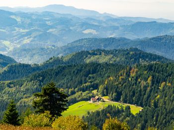 6 Tage Südschwarzwald: Naturparadies & Genuss