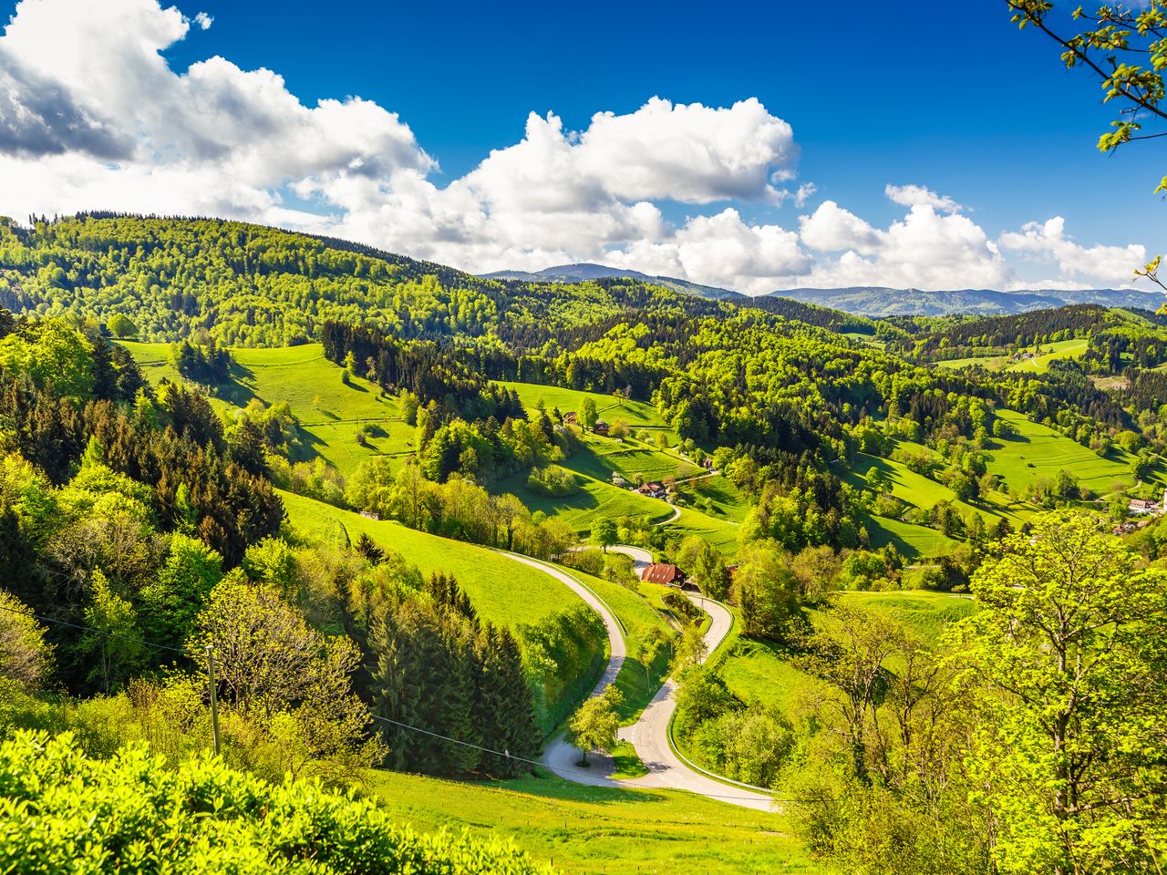4 Tage Südschwarzwald: Naturparadies & Genuss