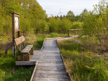 Himmlische Adventstage im "Alten Forsthaus"