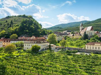 3 Tage Weingenuss in Niederösterreich mit HP