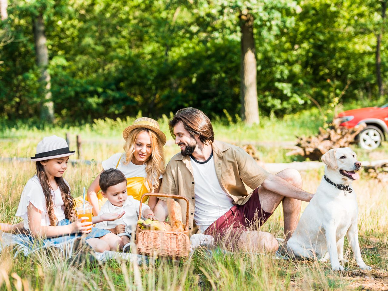 Tierisches Vergnügen-Bergferien mit Hund / 6 Tage ÜF