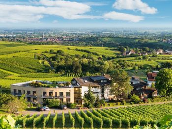 Weinschmecker im Baden-Badener Rebland - 4 Tage