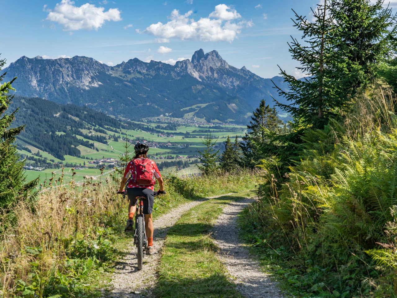 Innsbruck - Biken & Radeln in den Alpen - 4 N/HP