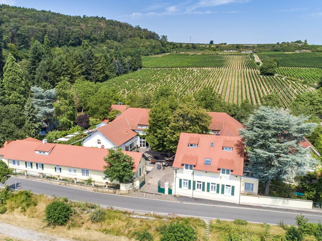 Weinpatenschaft in der Pfalz