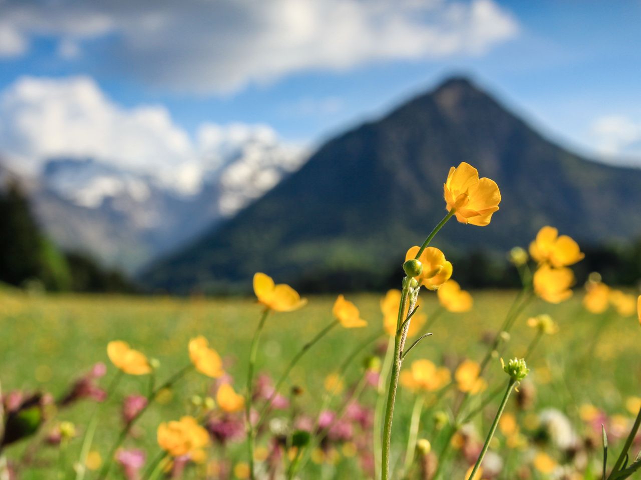 5 Tage umgeben von den Tiroler Alpen mit HP