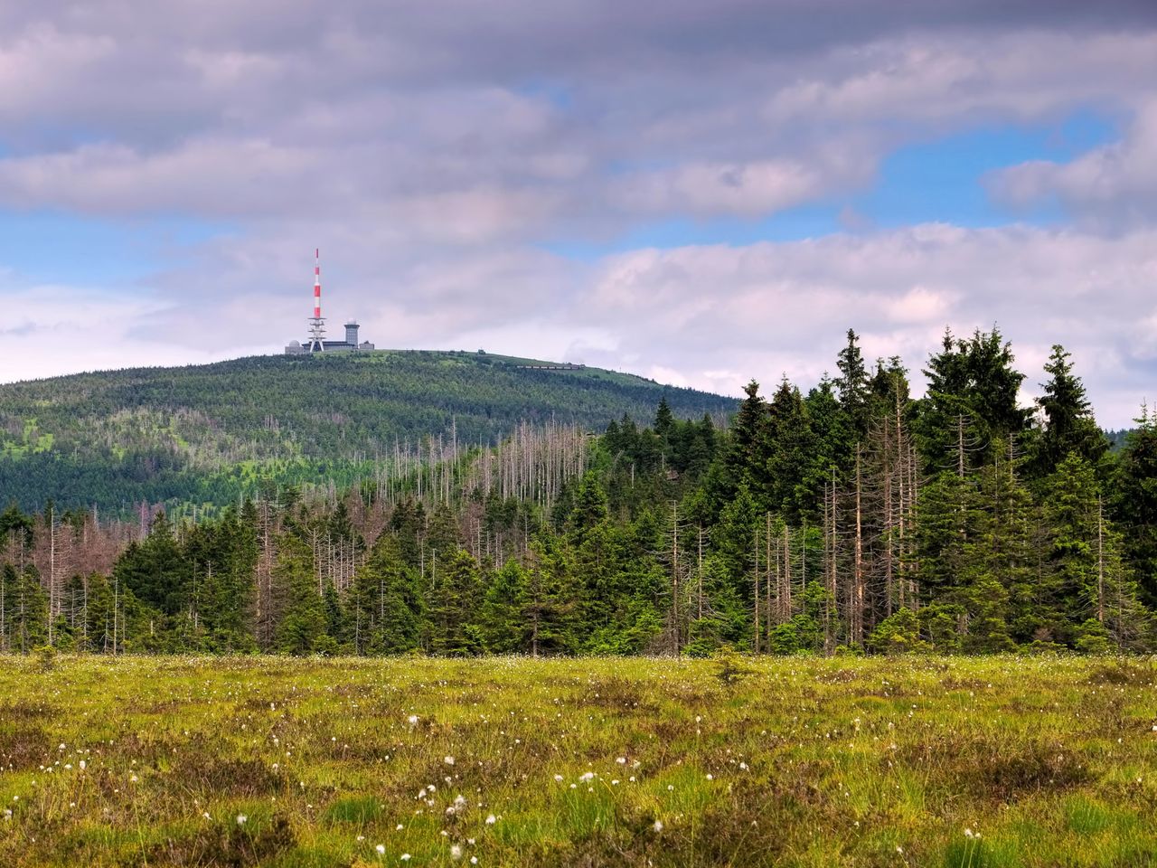 Verlängertes Harz-Wochenende