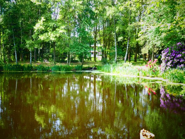 4 Tage Heide-Urlaub in Essel OT Ostenholzer Moor, Niedersachsen inkl. Halbpension