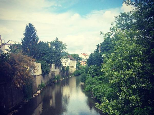 2 Tage Auszeit für Sie & Ihren Hund in Baden bei Wien, Niederösterreich inkl. Halbpension