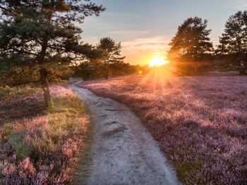 Lüneburger Heide erleben