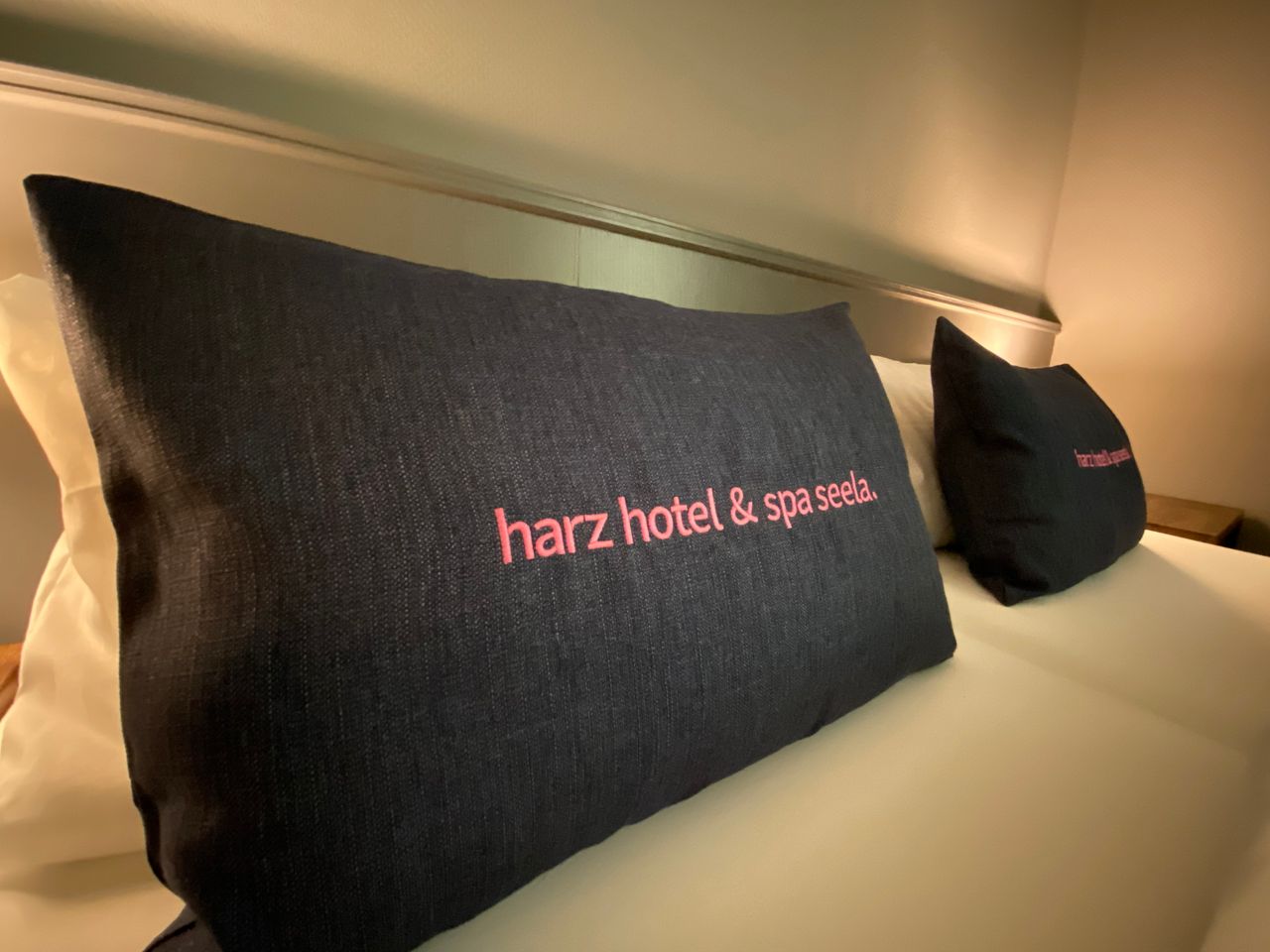 Harzer One-Night-Stand