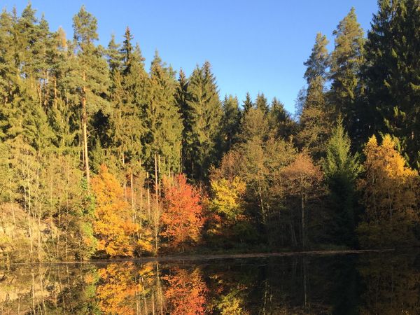 5 Tage Herbsterwachen im Wald in Kahla, Thüringen inkl. Halbpension