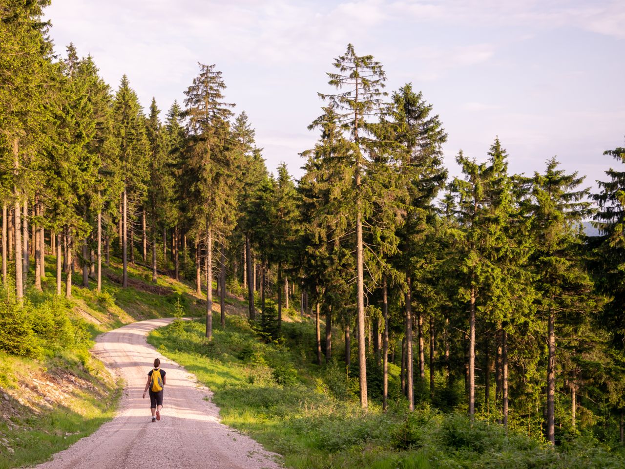 Ihre Auszeit im Thüringer Wald - 4 Tage Vollpension