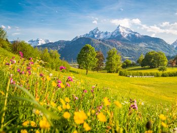 Auf in die Natur!