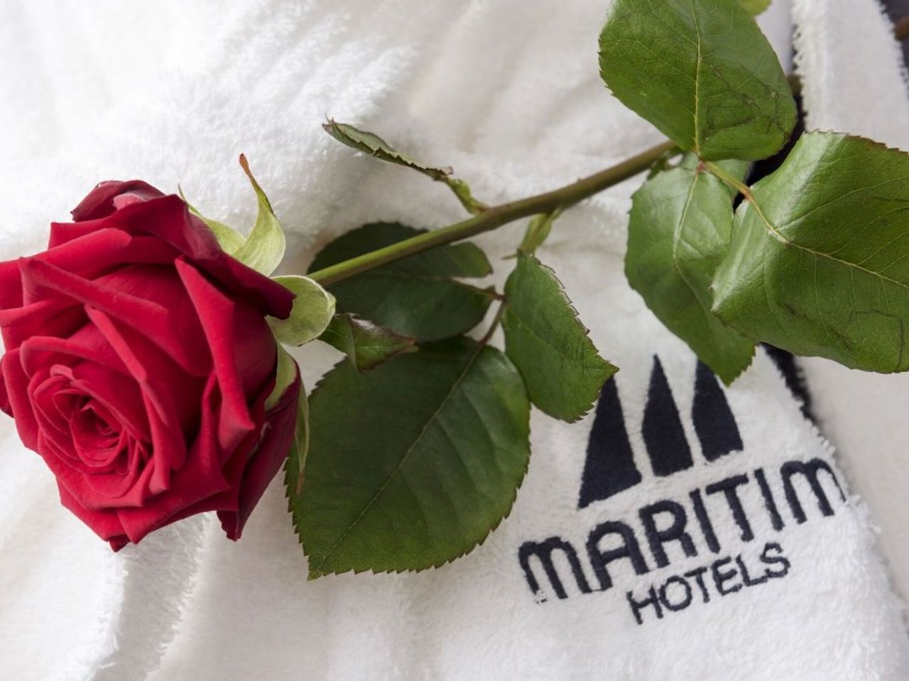 2 Tage im Maritim Airport Hotel Hannover