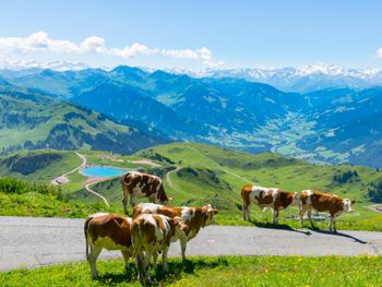 6 Tage Wellness & Sport in den Kitzbüheler Alpen