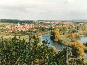 AKZENT Rosentage im Maindreieck