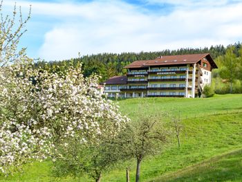Genießertage im Bayerischen Wald mit Massage & HP