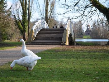 8 Tage Aktiv-Urlaub in Heidelberg und der Kurpfalz