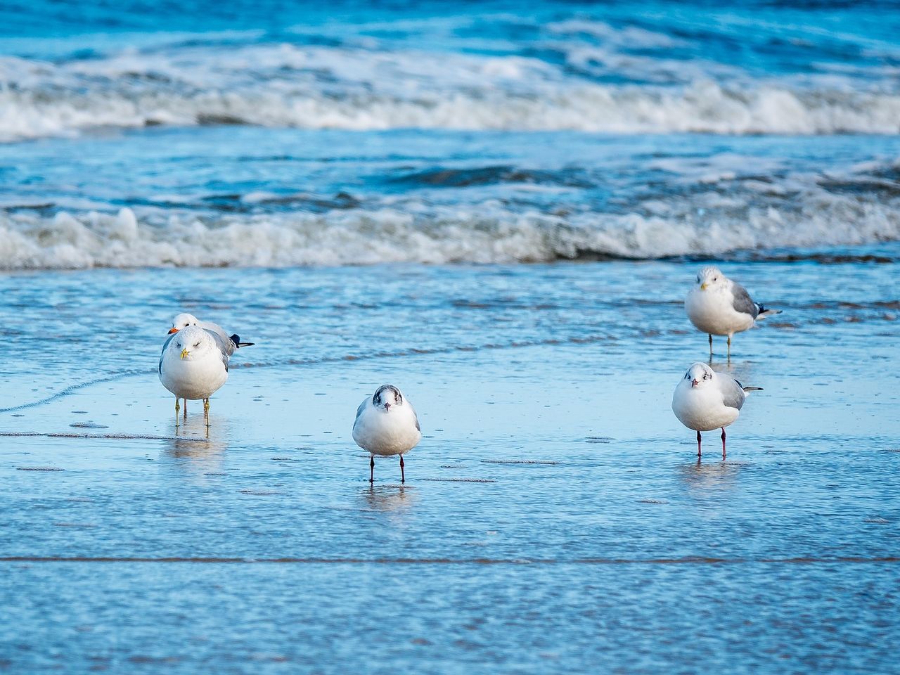 13 Tage Auszeit am Meer