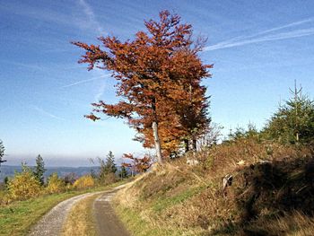 Kurzurlaub - 7 Tage mit HP